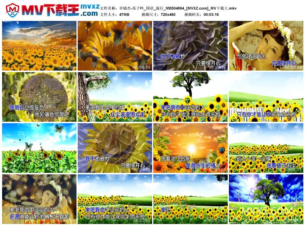 许晓杰-瓜子吟_国语_流行_MB504894